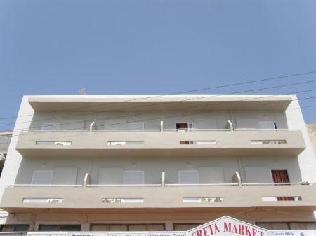 STELLA PARADISE